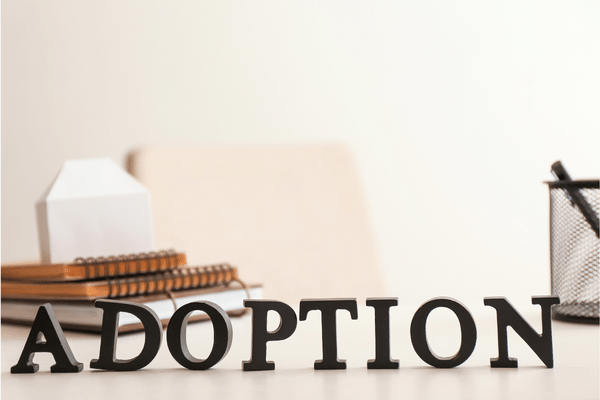 Adoption Process Marketing Choices